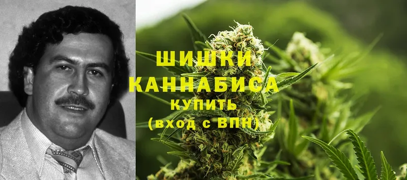 Шишки марихуана THC 21%  Кувшиново 